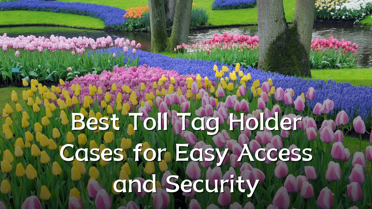 Best Toll Tag Holder Cases for Easy Access and Security