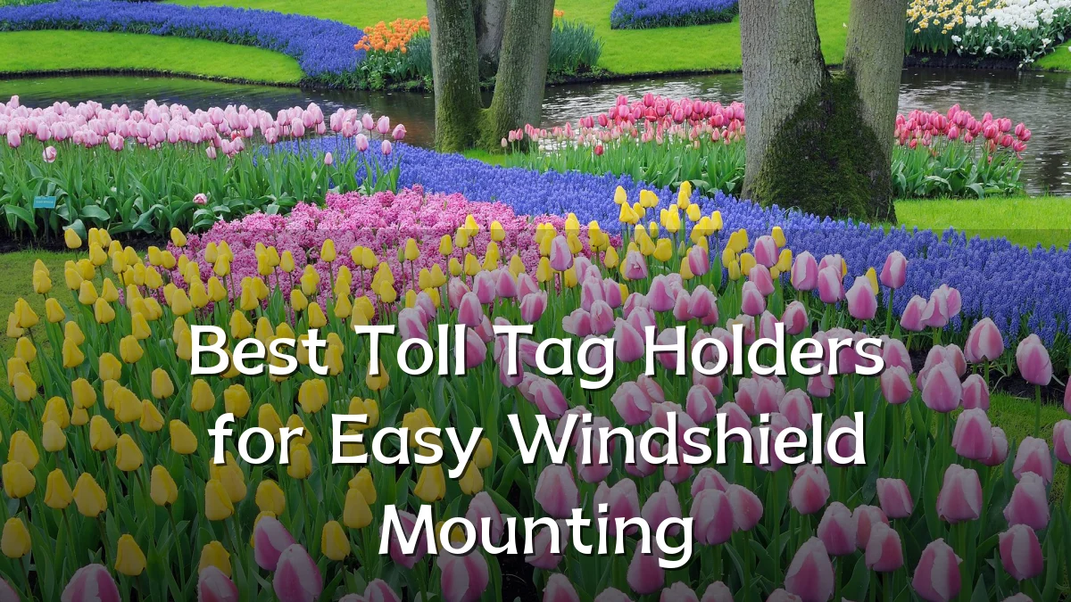 Best Toll Tag Holders for Easy Windshield Mounting
