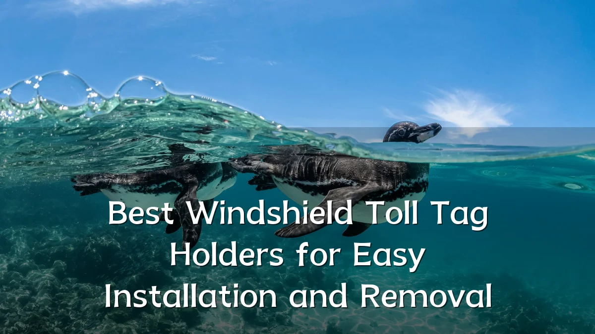 Best Windshield Toll Tag Holders for Easy Installation and Removal