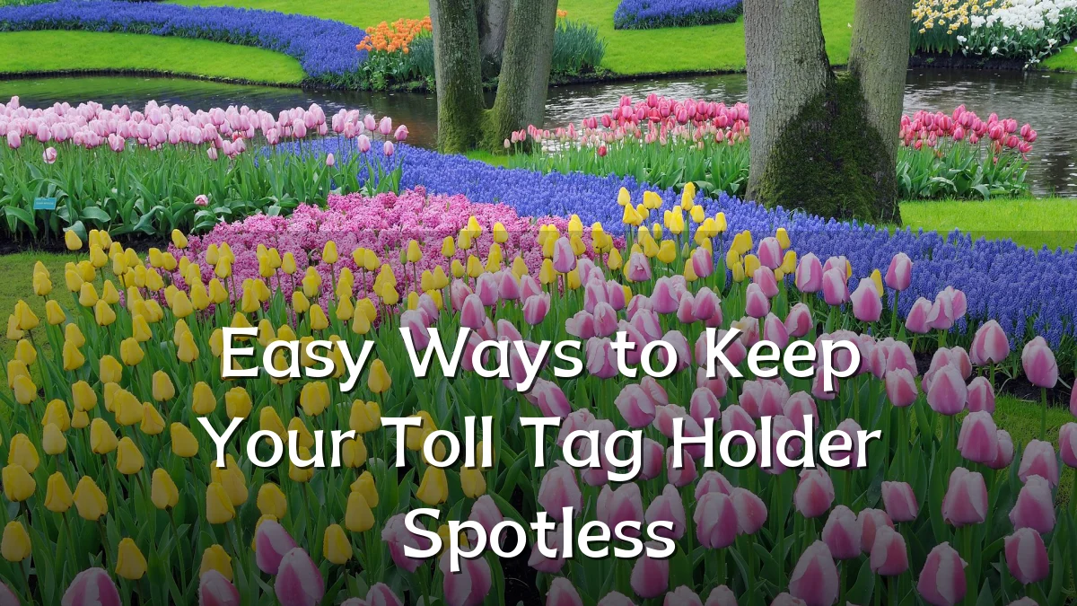 Easy Ways to Keep Your Toll Tag Holder Spotless