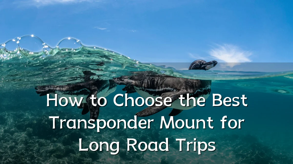 How to Choose the Best Transponder Mount for Long Road Trips