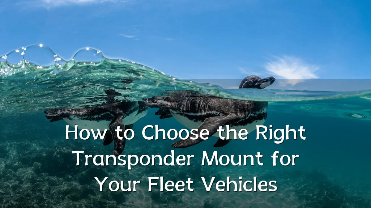 How to Choose the Right Transponder Mount for Your Fleet Vehicles