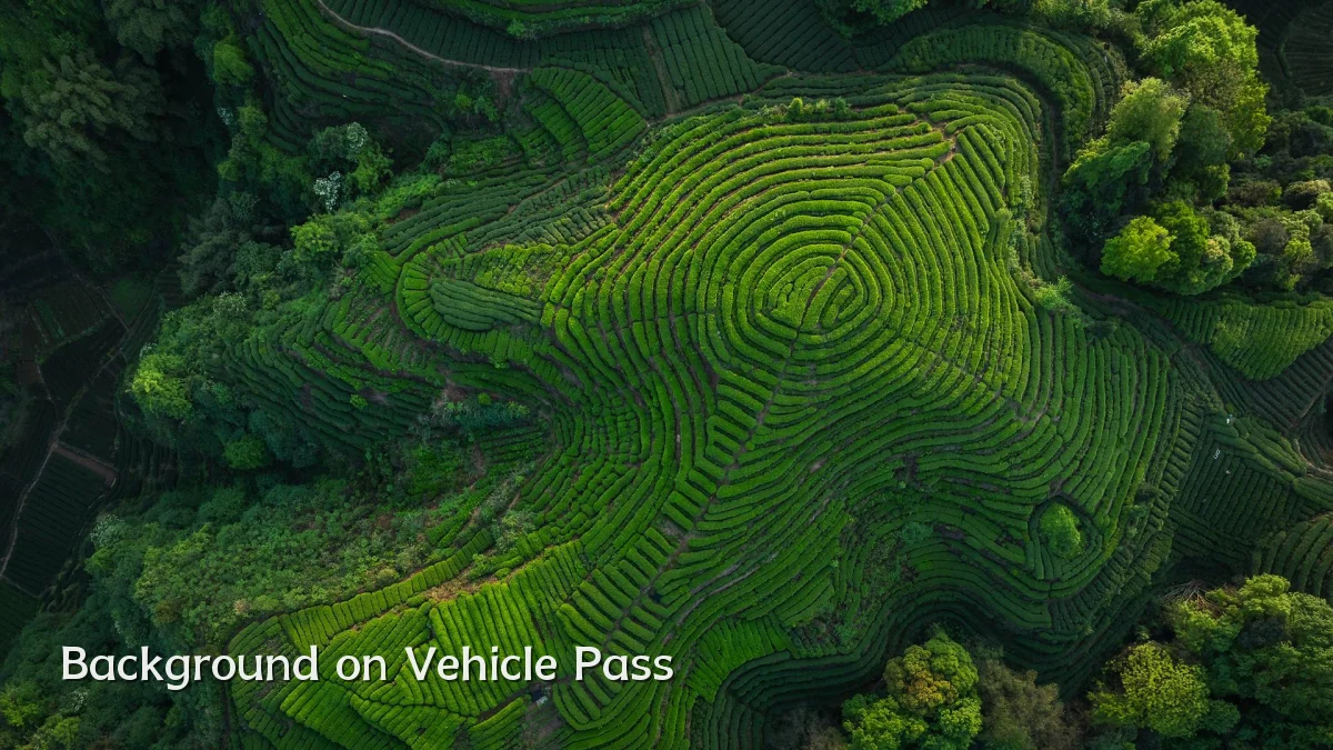 Background on Vehicle Pass
