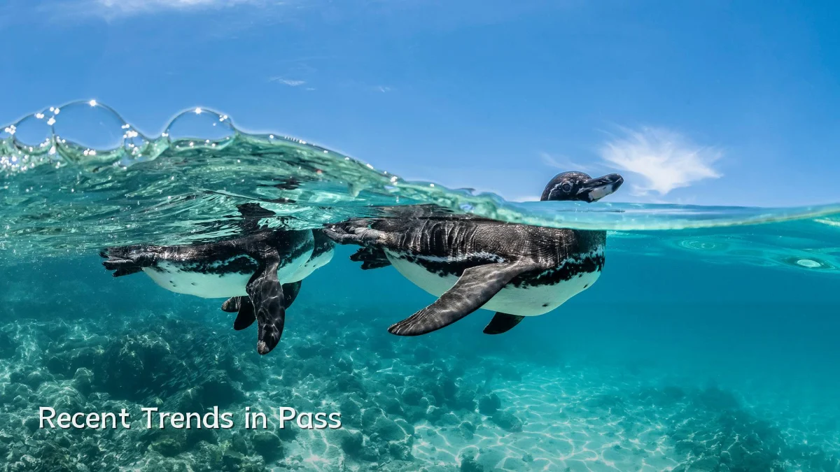 Recent Trends in Pass
