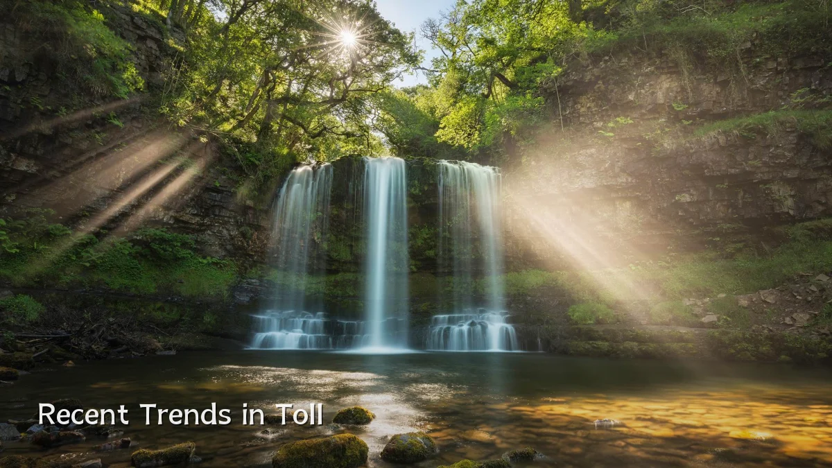 Recent Trends in Toll