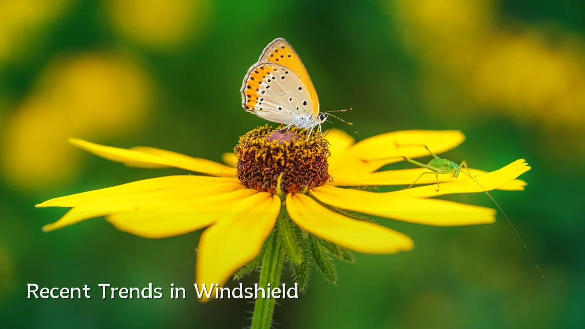 Recent Trends in Windshield