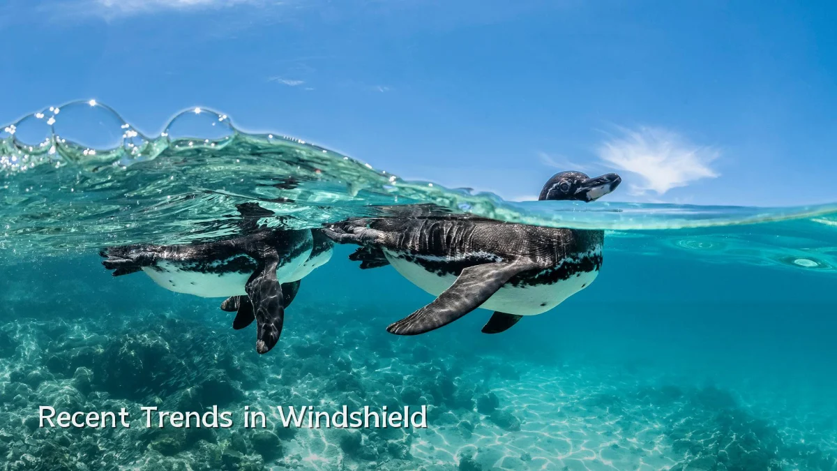 Recent Trends in Windshield