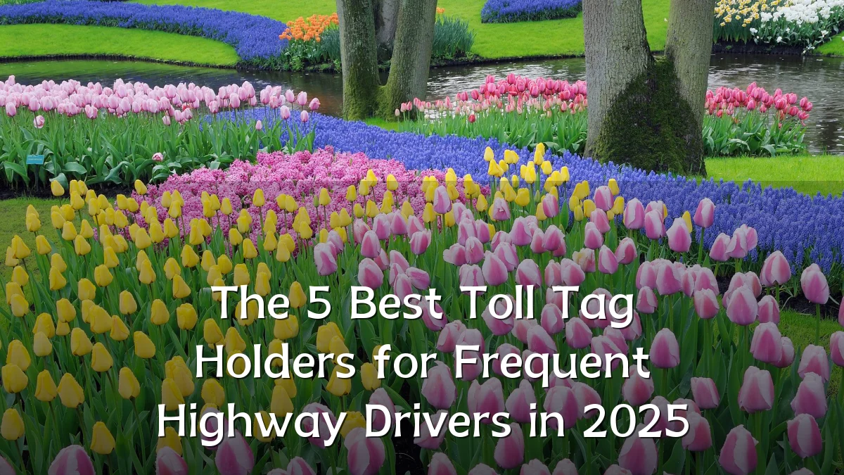 The 5 Best Toll Tag Holders for Frequent Highway Drivers in 2025