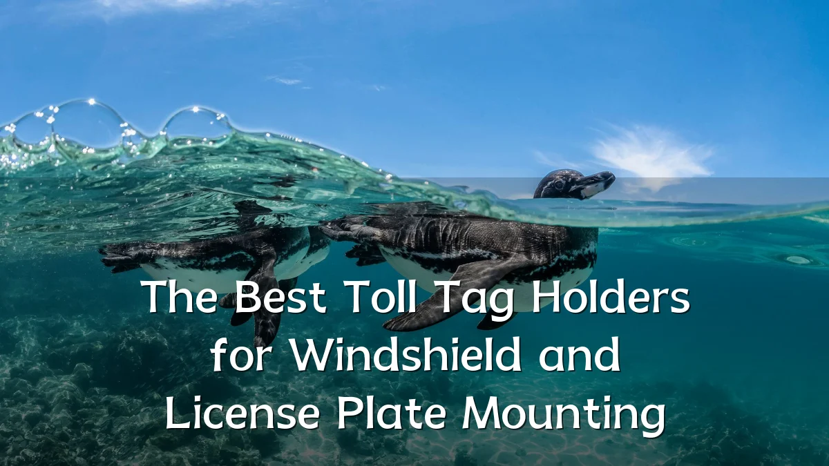 The Best Toll Tag Holders for Windshield and License Plate Mounting