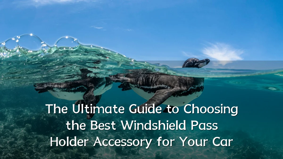 The Ultimate Guide to Choosing the Best Windshield Pass Holder Accessory for Your Car