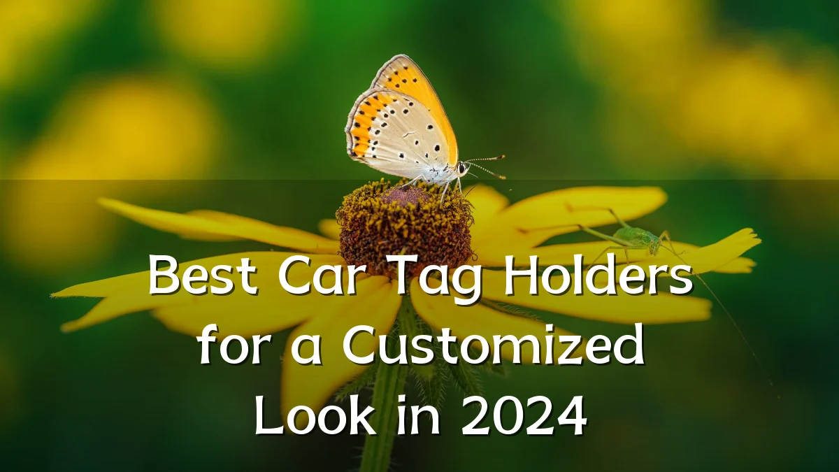 Best Car Tag Holders for a Customized Look in 2024