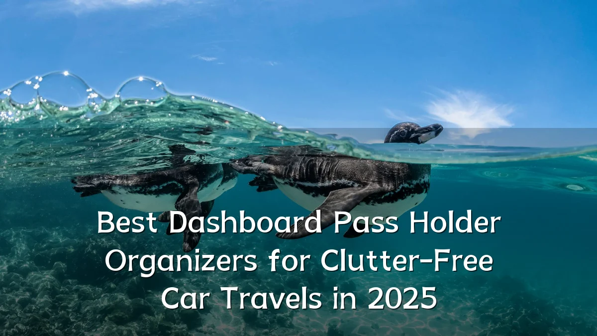 Best Dashboard Pass Holder Organizers for Clutter-Free Car Travels in 2025