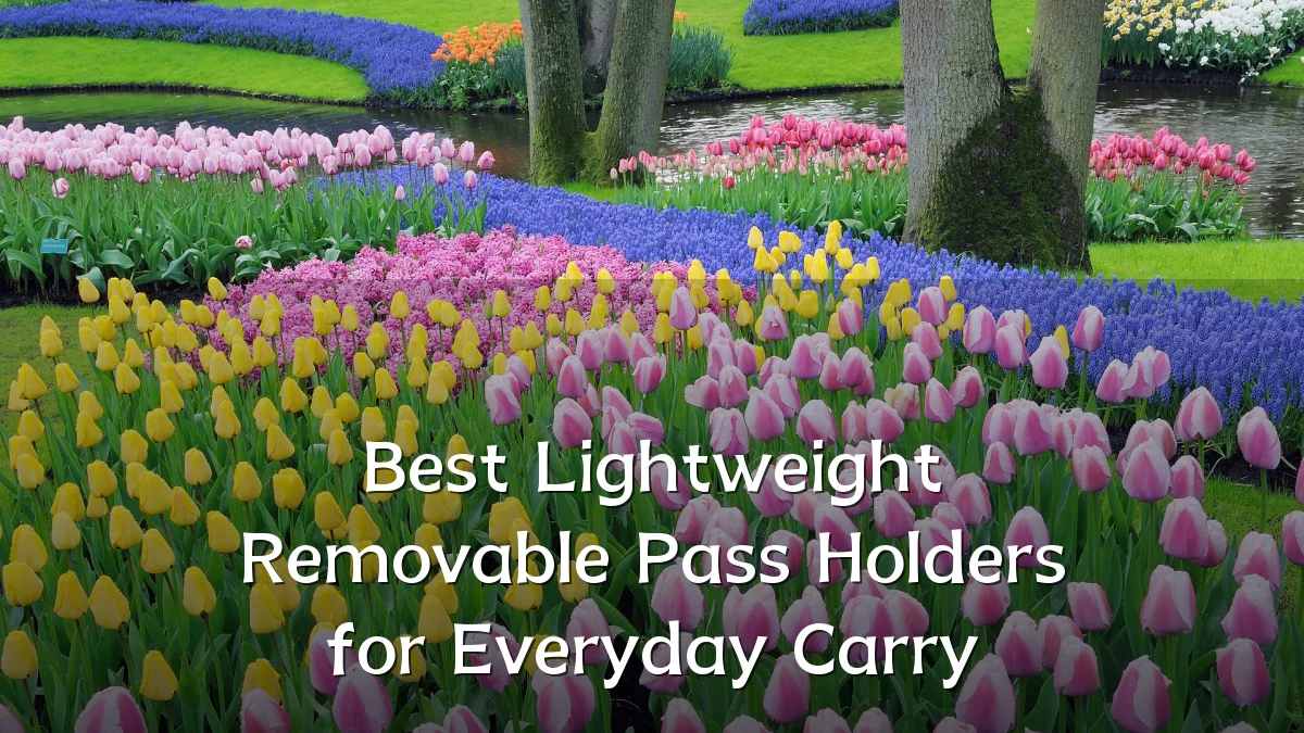 Best Lightweight Removable Pass Holders for Everyday Carry
