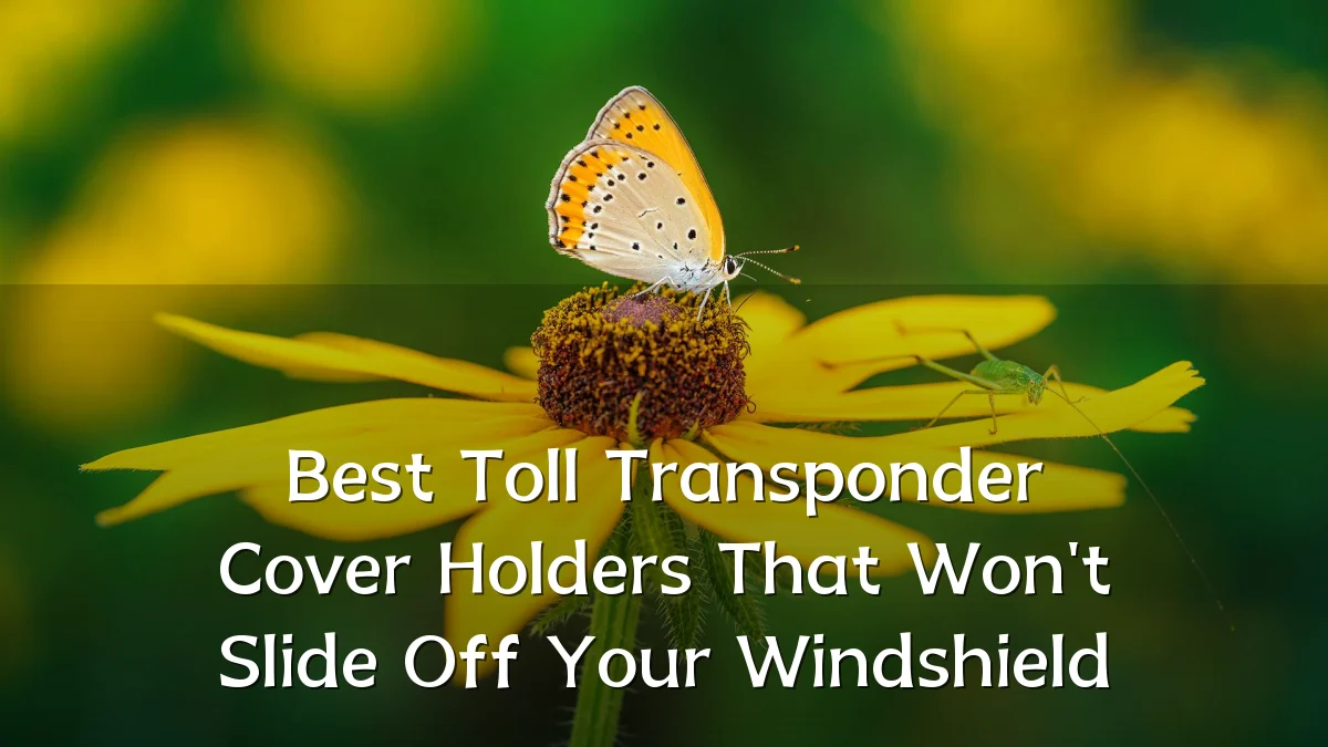 Best Toll Transponder Cover Holders That Won't Slide Off Your Windshield