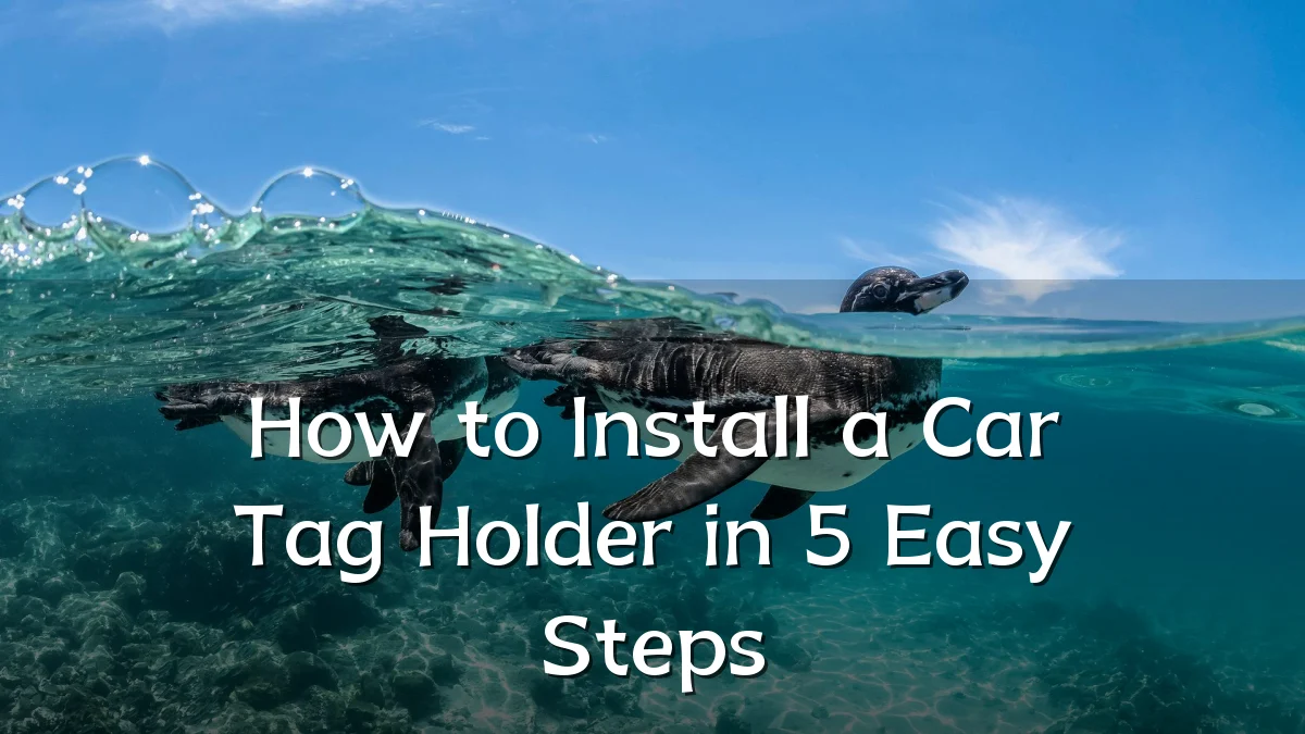 How to Install a Car Tag Holder in 5 Easy Steps