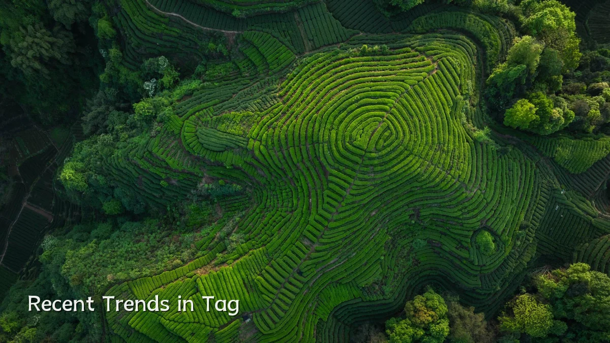 Recent Trends in Tag
