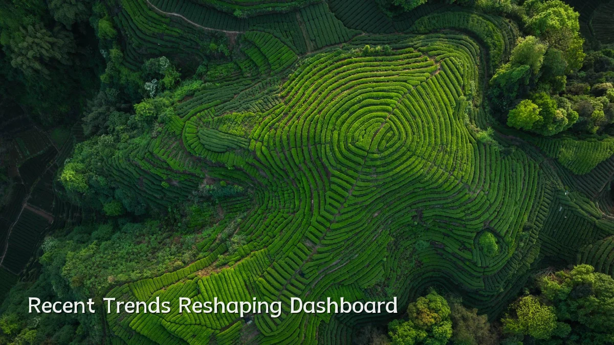 Recent Trends Reshaping Dashboard