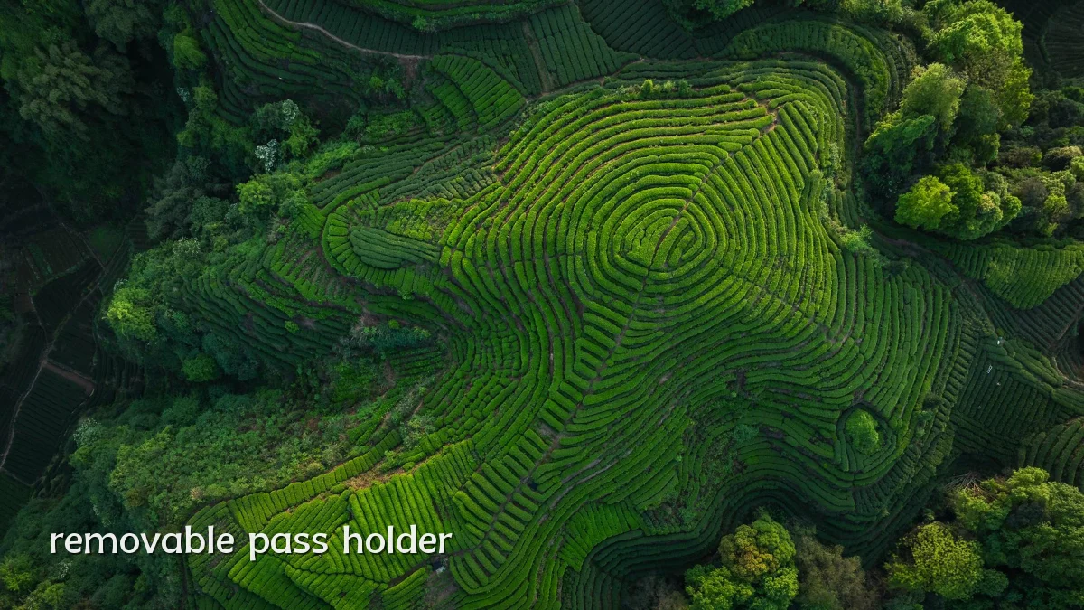 removable pass holder