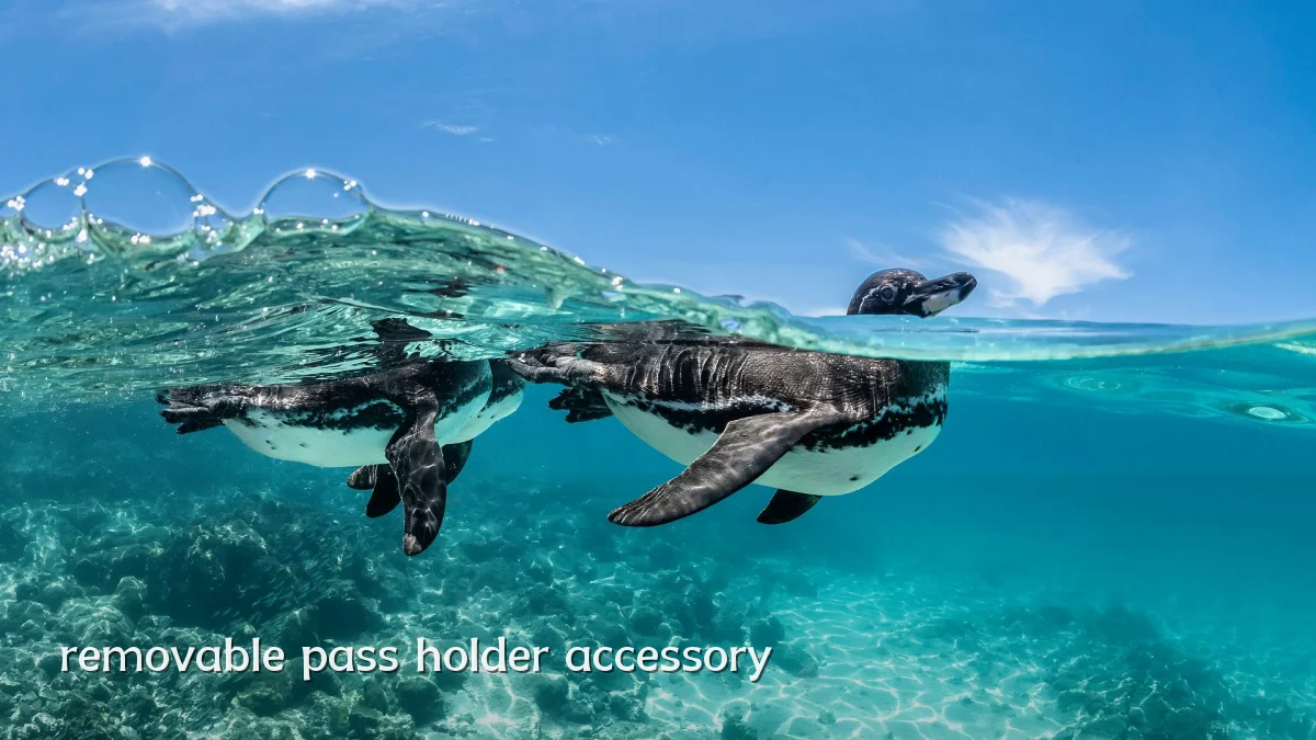 removable pass holder accessory