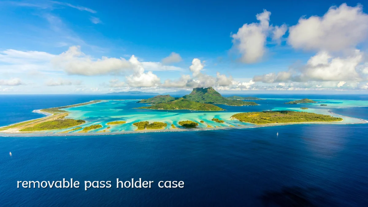 removable pass holder case