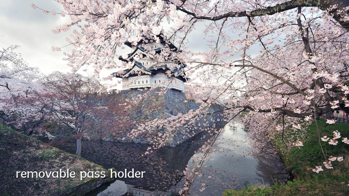 removable pass holder