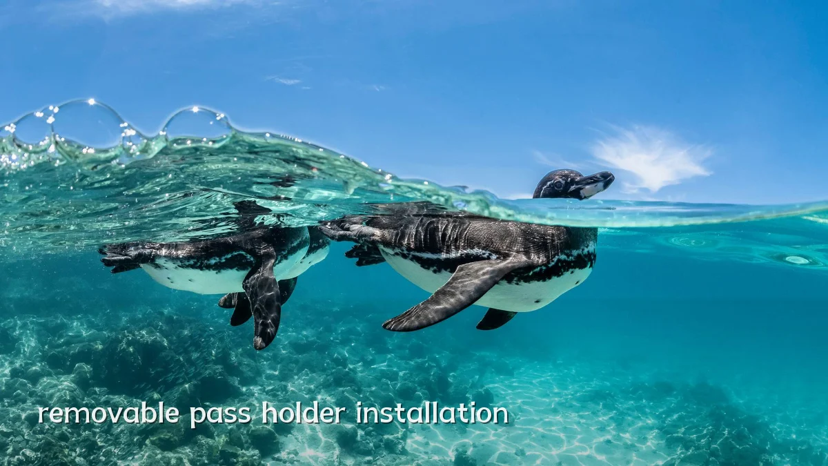 removable pass holder installation