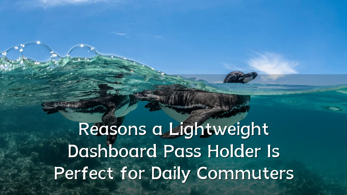 Reasons a Lightweight Dashboard Pass Holder Is Perfect for Daily Commuters