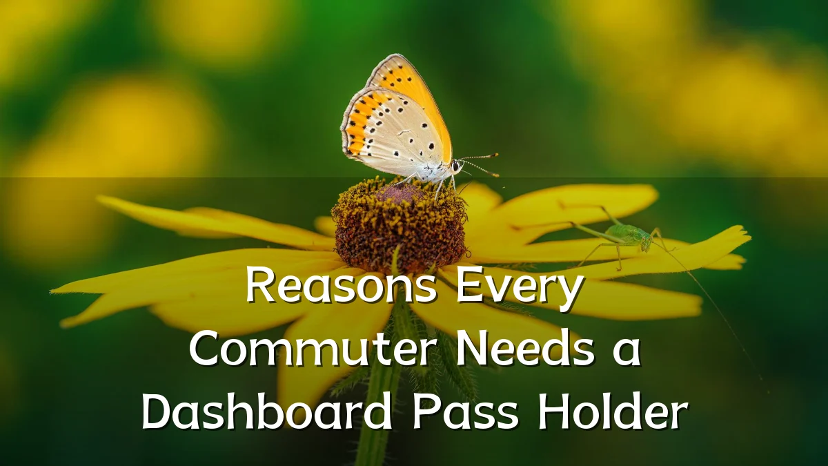 Reasons Every Commuter Needs a Dashboard Pass Holder