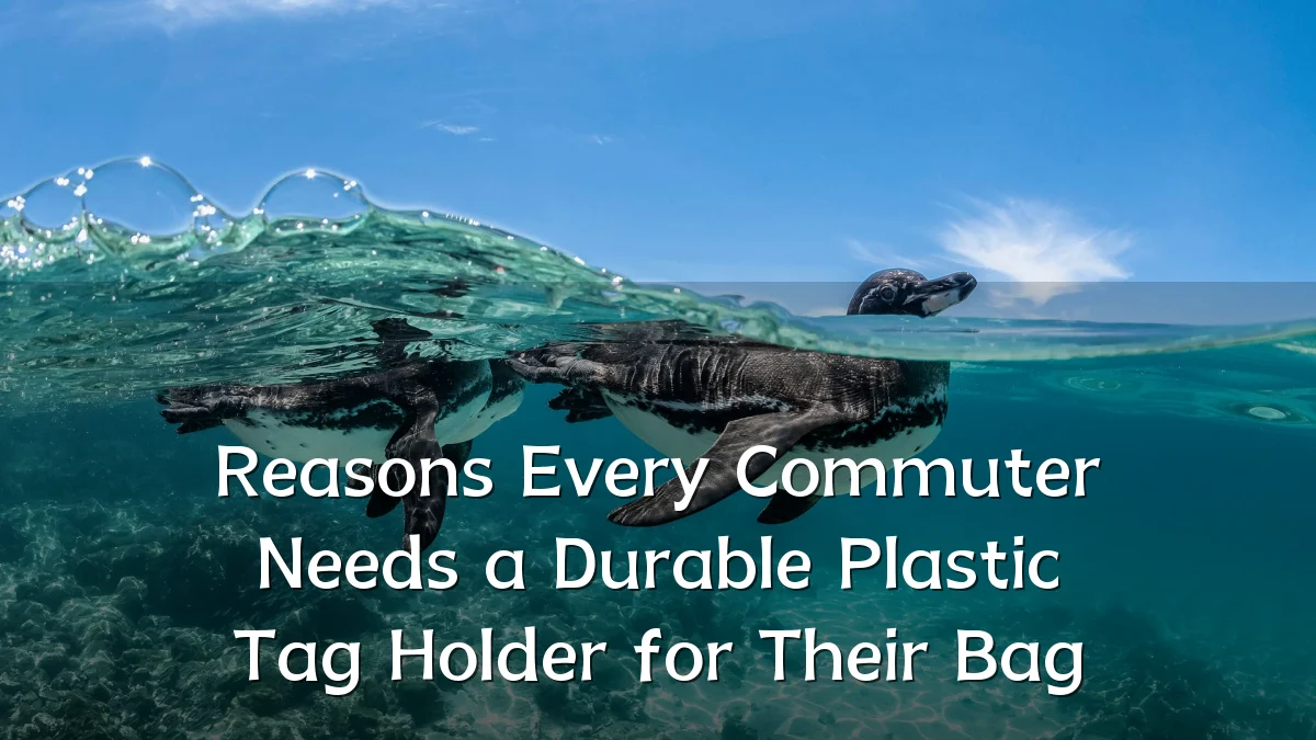 Reasons Every Commuter Needs a Durable Plastic Tag Holder for Their Bag
