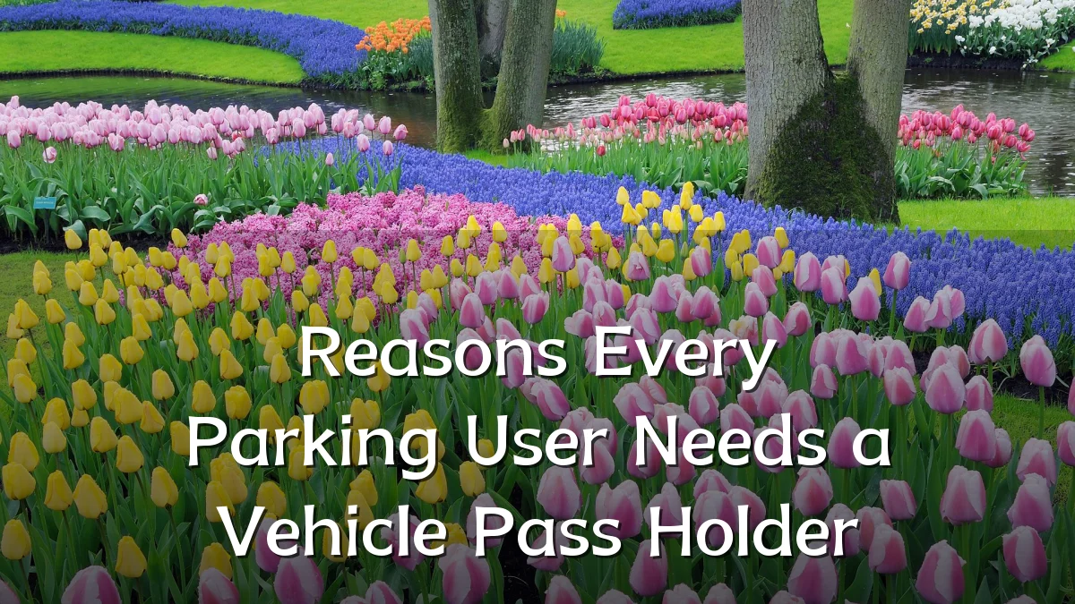 Reasons Every Parking User Needs a Vehicle Pass Holder