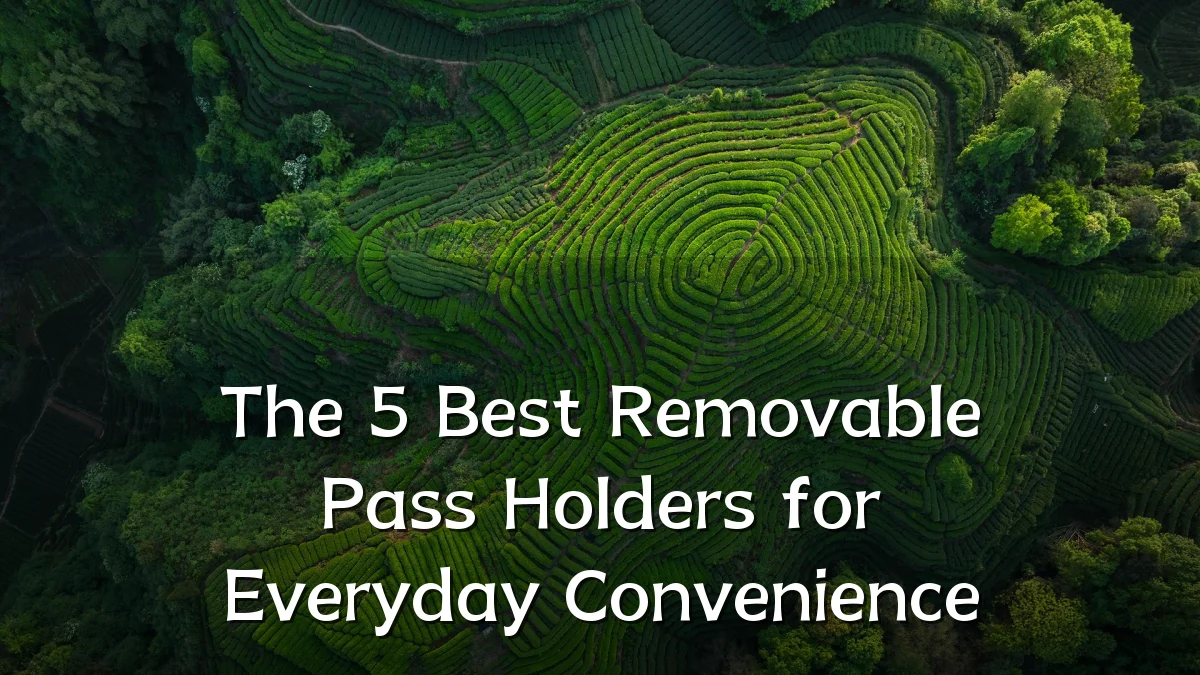The 5 Best Removable Pass Holders for Everyday Convenience