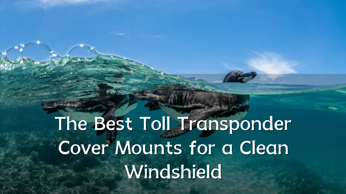 The Best Toll Transponder Cover Mounts for a Clean Windshield