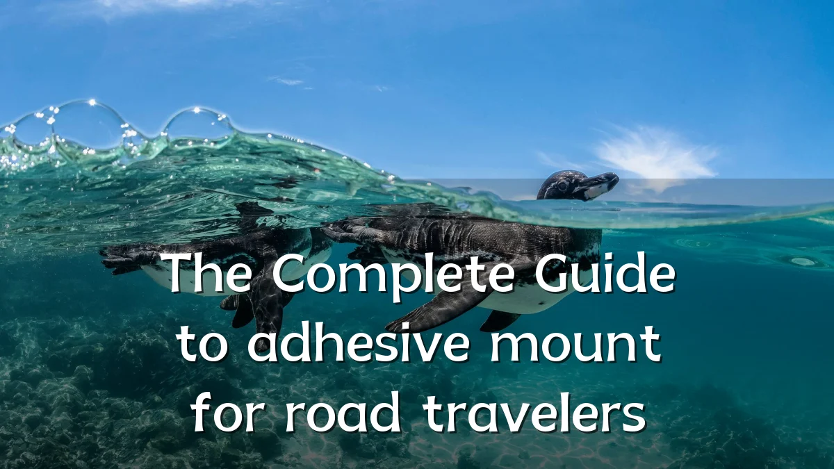 The Complete Guide to adhesive mount for road travelers
