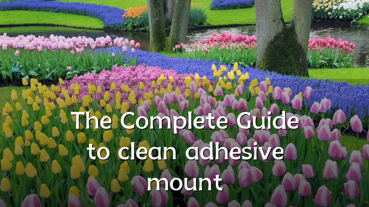 The Complete Guide to clean adhesive mount
