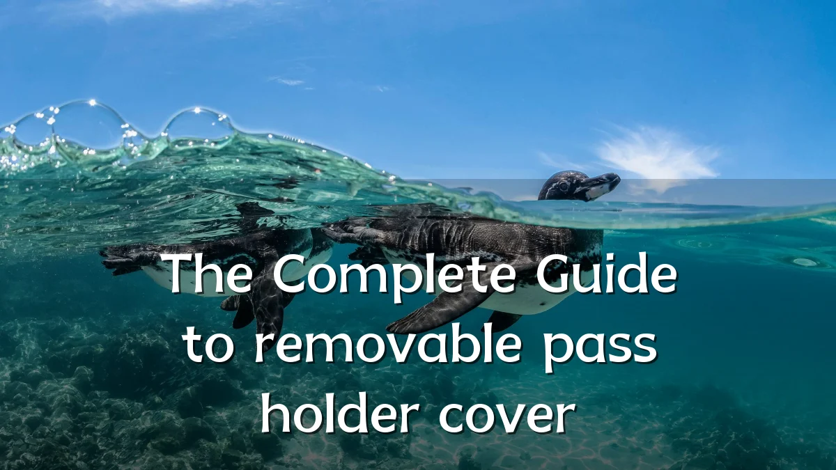 The Complete Guide to removable pass holder cover