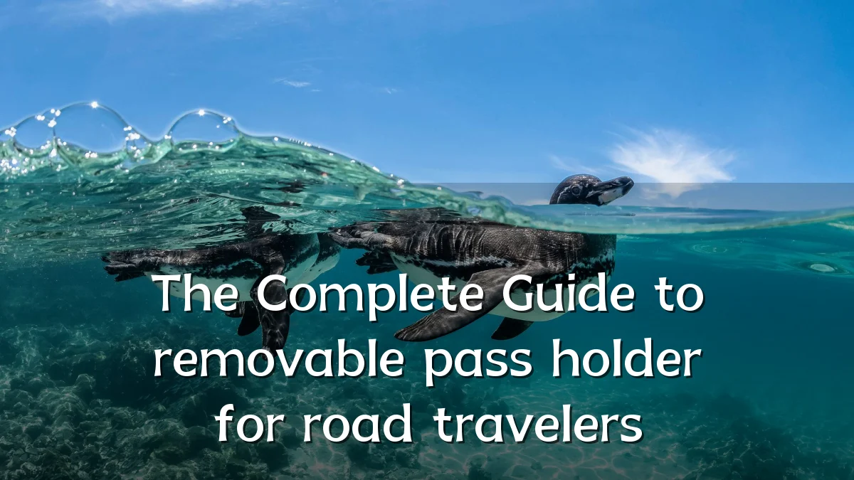 The Complete Guide to removable pass holder for road travelers