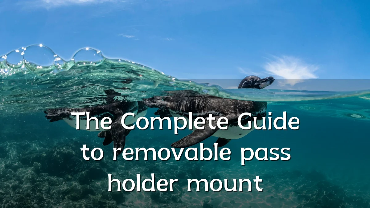 The Complete Guide to removable pass holder mount