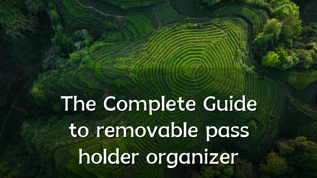The Complete Guide to removable pass holder organizer