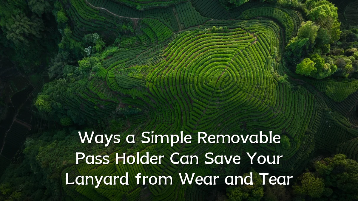 Ways a Simple Removable Pass Holder Can Save Your Lanyard from Wear and Tear