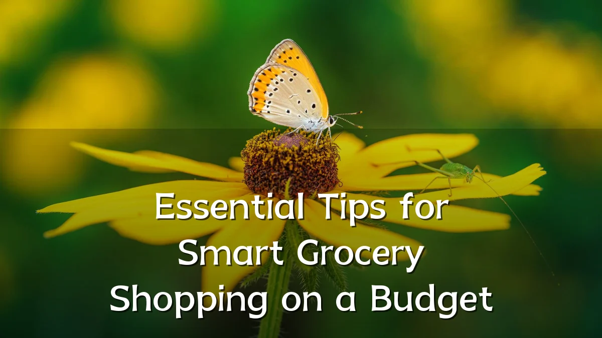 Essential Tips for Smart Grocery Shopping on a Budget