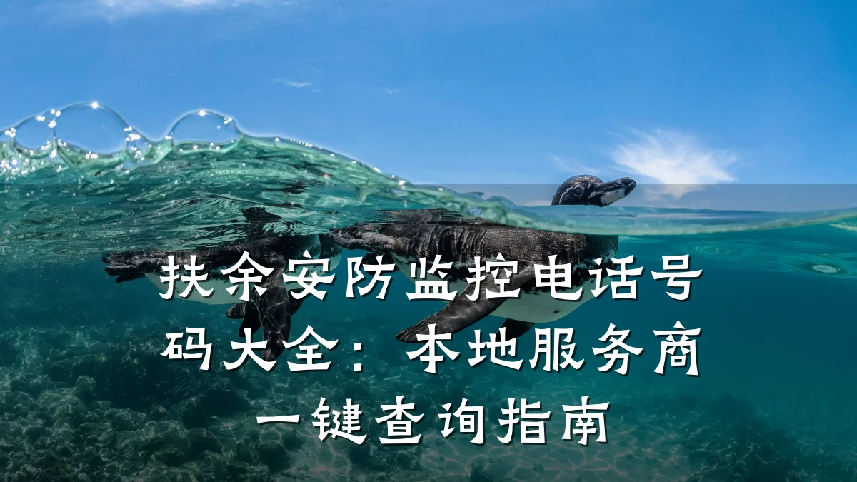 扶余安防监控电话号码大全：本地服务商一键查询指南