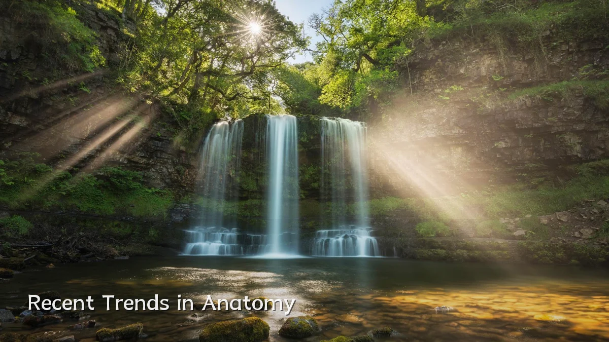 Recent Trends in Anatomy