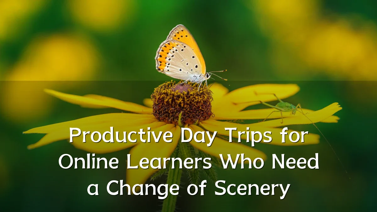 Productive Day Trips for Online Learners Who Need a Change of Scenery
