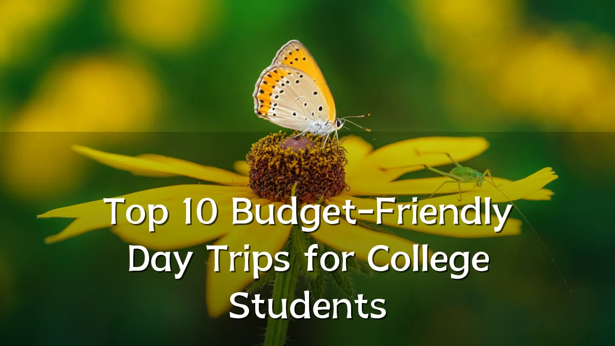 Top 10 Budget-Friendly Day Trips for College Students